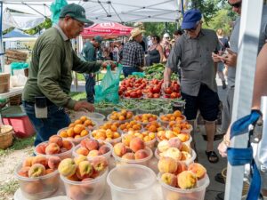 Salt Lake City farmer's market - peaches for sale